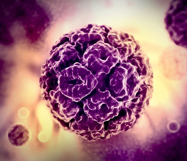 HPV (فيروس الورم الحليمي البشري) نموذج ثلاثي الأبعاد