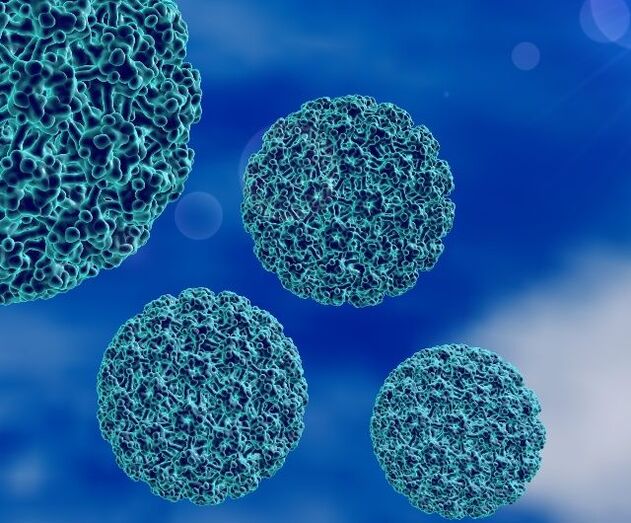 نموذج ثلاثي الأبعاد لفيروس الورم الحليمي البشري الذي يسبب الثآليل على الكعب